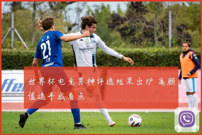 世界杯电竞男神评选结果出炉 高颜值选手成看点
