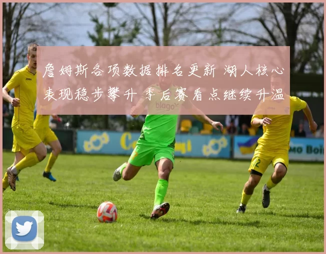 詹姆斯各项数据排名更新 湖人核心表现稳步攀升 季后赛看点继续升温