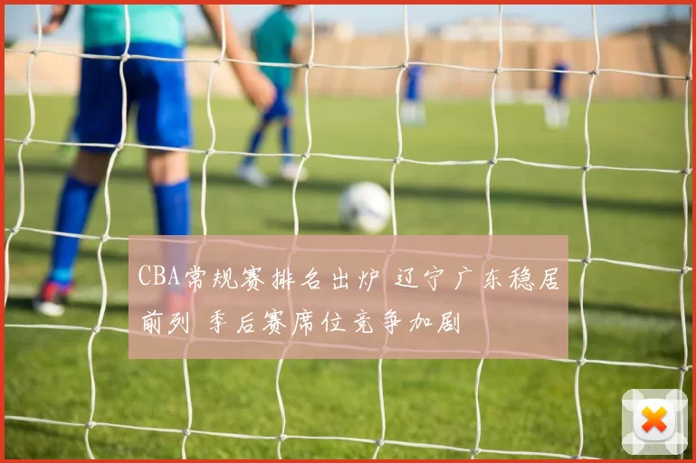 CBA常规赛排名出炉 辽宁广东稳居前列 季后赛席位竞争加剧