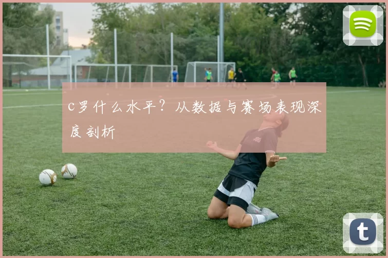 c罗什么水平？从数据与赛场表现深度剖析